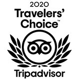 TripAdvisor- Travelers Choice Award 2020