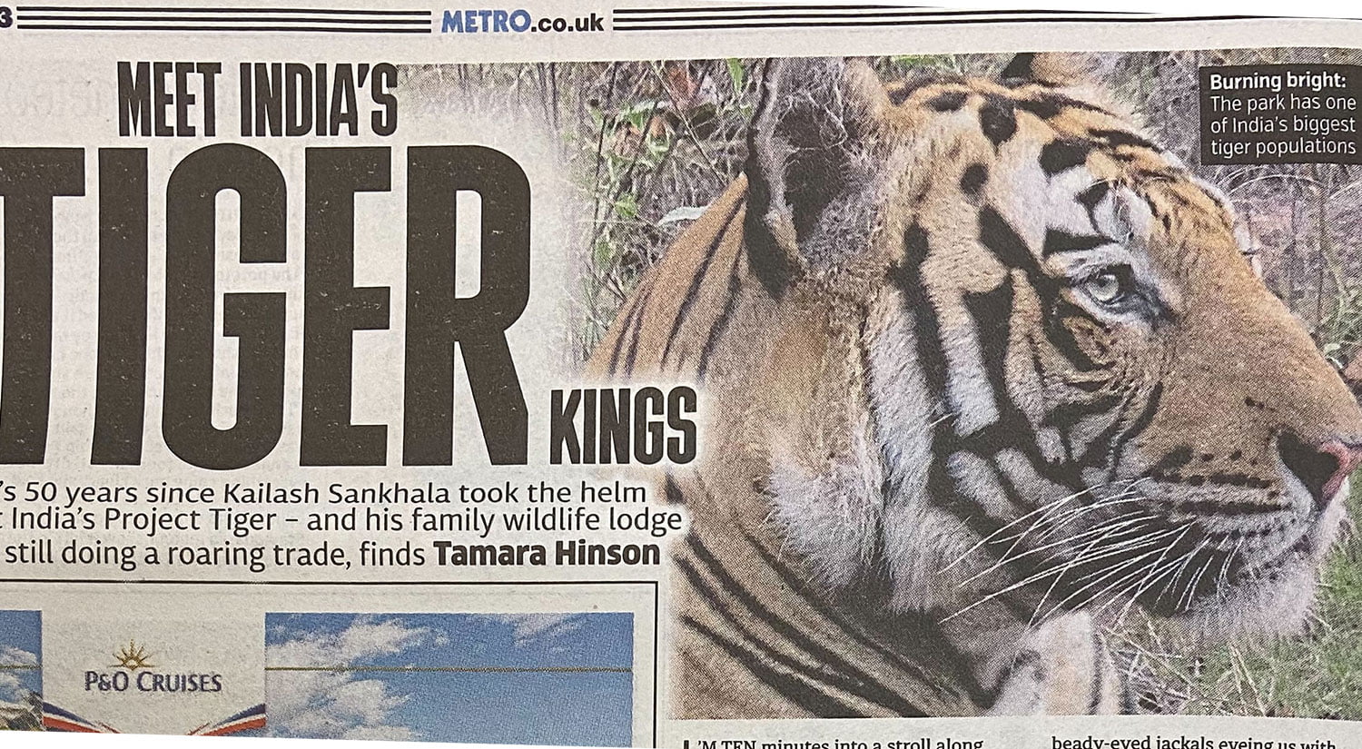 Meet India's Tiger Kings